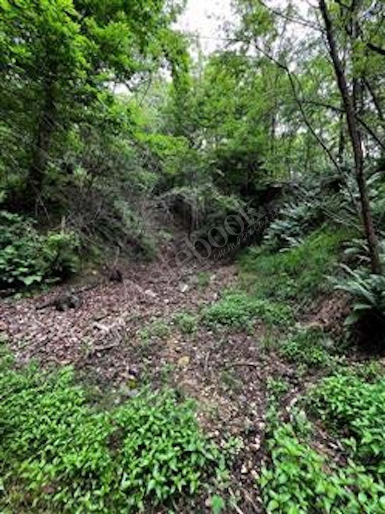 Compendio immobiliare composto da quote di proprietà di immobili residenziali e direzionali, autorimesse e terreni in Albavilla e Orsenigo
