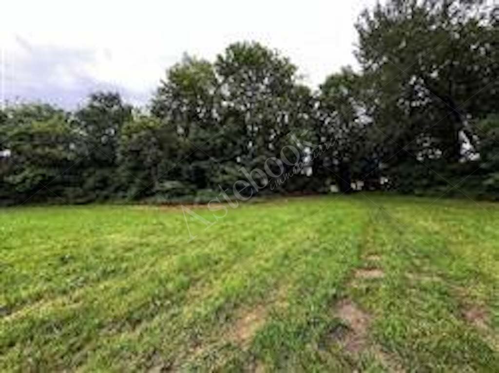 Compendio immobiliare composto da quote di proprietà di immobili residenziali e direzionali, autorimesse e terreni in Albavilla e Orsenigo