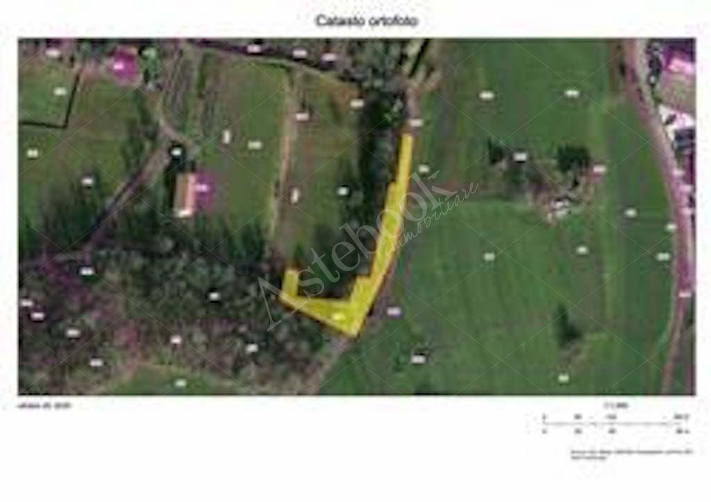 Compendio immobiliare composto da quote di proprietà di immobili residenziali e direzionali, autorimesse e terreni in Albavilla e Orsenigo