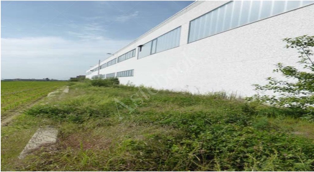 Capannone industriale con laboratorio e area esterna esclusiva in Cavour