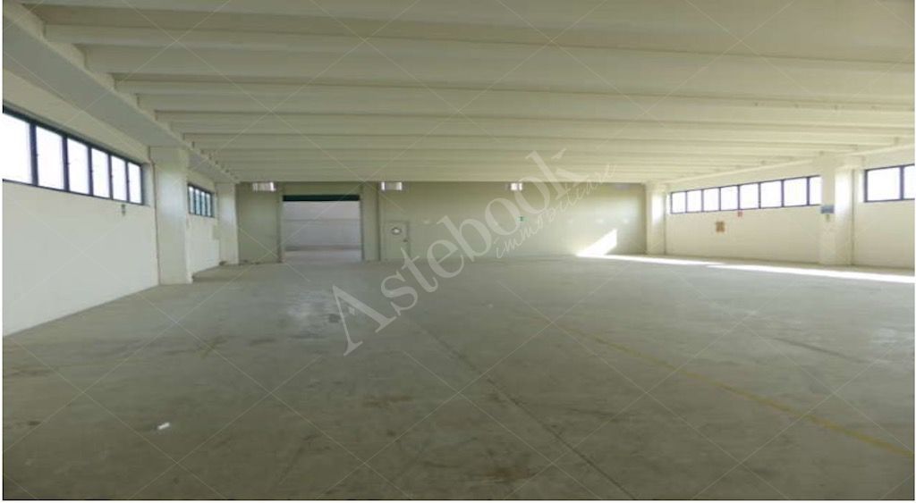 Capannone industriale con laboratorio e area esterna esclusiva in Cavour