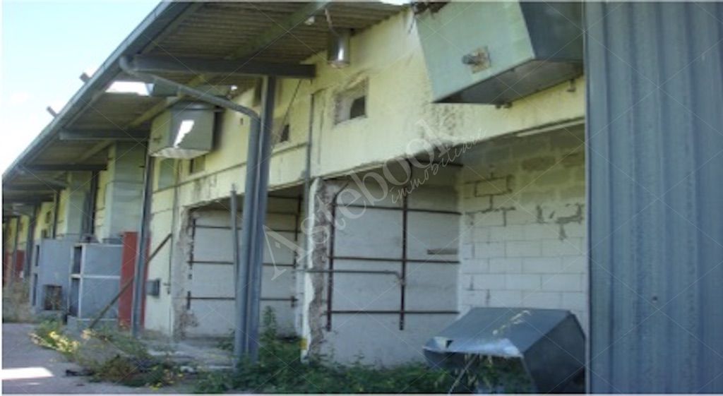 Capannone industriale con area produttiva e uffici in Lanciano