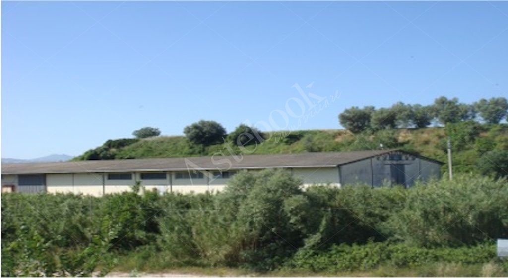 Capannone industriale con area produttiva e uffici in Lanciano