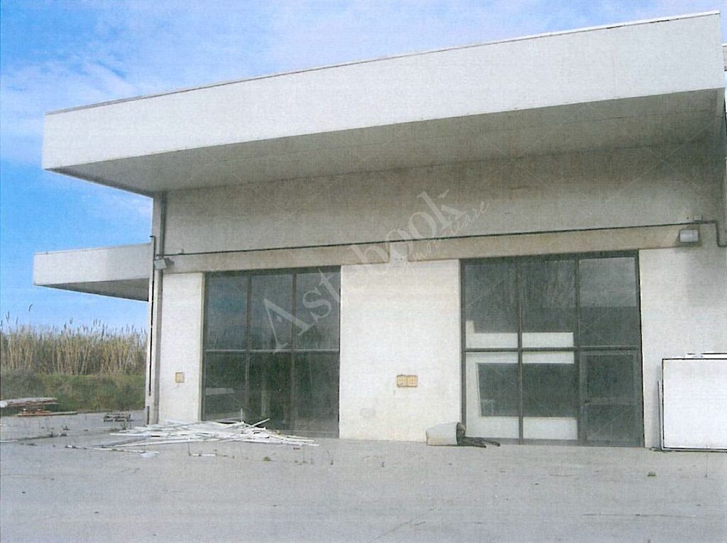 Capannone artigianale con uffici, corte esterna e terreno in Colonnella