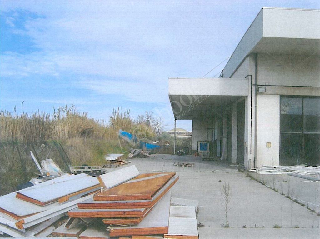 Capannone artigianale con uffici, corte esterna e terreno in Colonnella