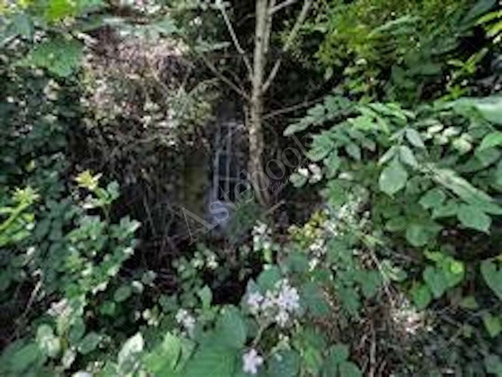 Compendio immobiliare composto da fabbricato ad uso residenziale, locali deposito - autorimessa e terreno in Albavilla