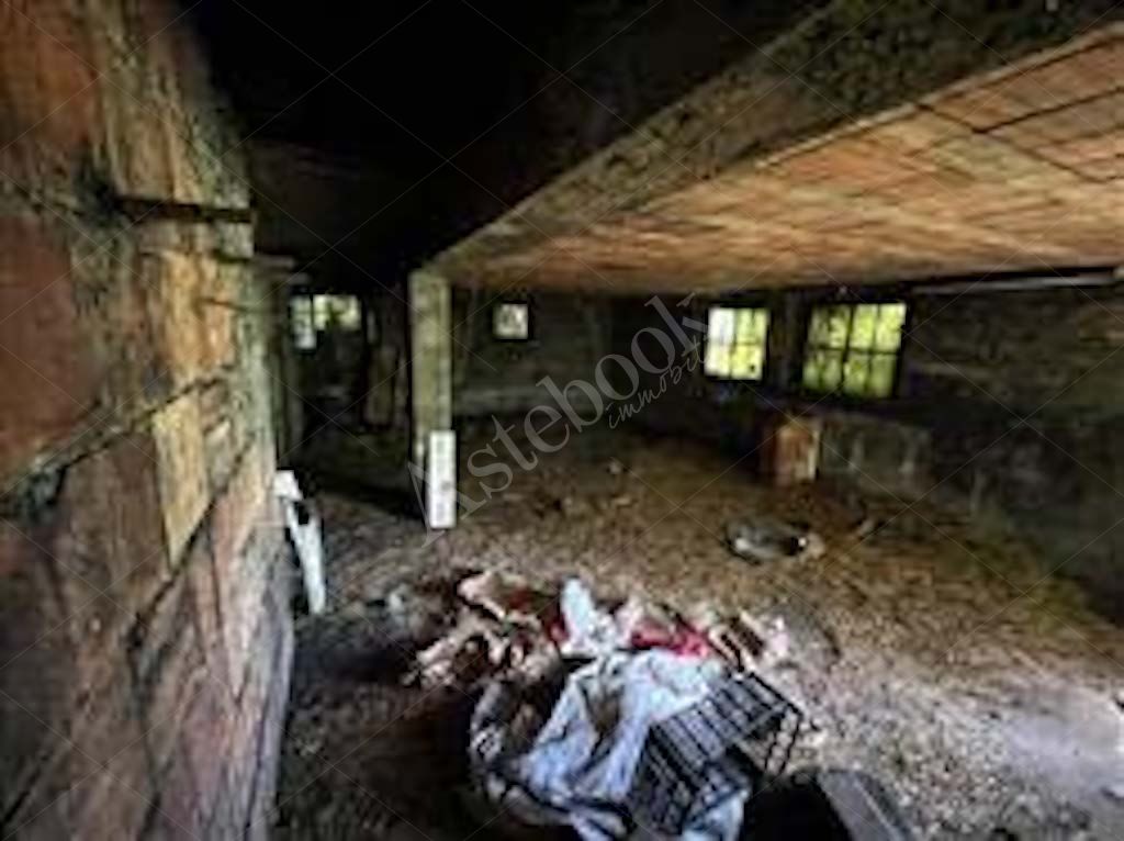 Compendio immobiliare composto da fabbricato ad uso residenziale, locali deposito - autorimessa e terreno in Albavilla