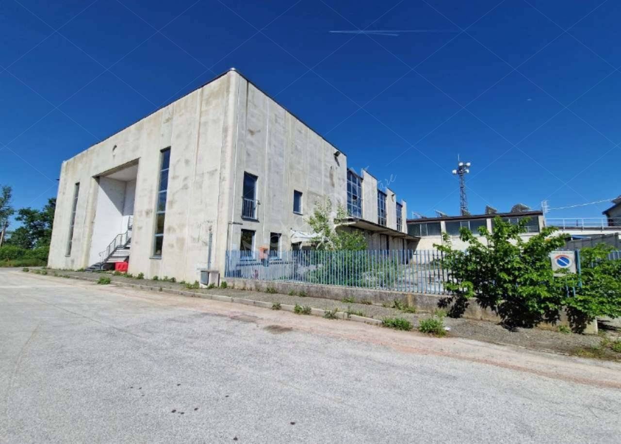 Capannone artigianale con uffici e area pertinenziale in Savigliano 