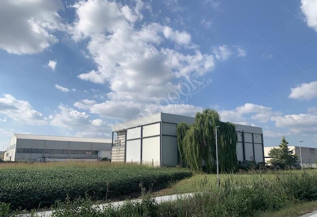 Capannone per deposito e stoccaggio alimentare con celle frigorifere e terreno in Sant�Elena 