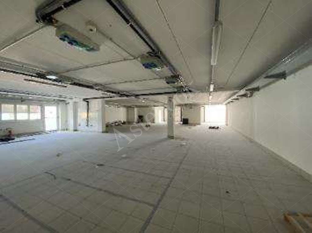 Capannone - laboratorio indipendente con uffici e ampio piazzale in Spinea 