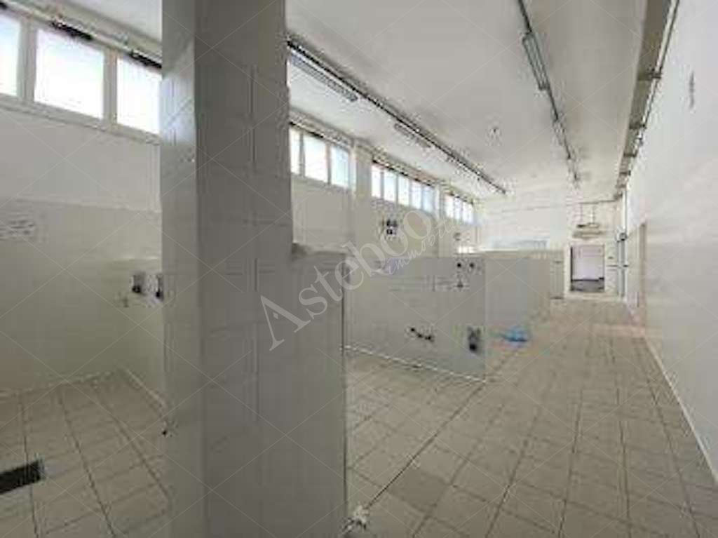 Capannone - laboratorio indipendente con uffici e ampio piazzale in Spinea 