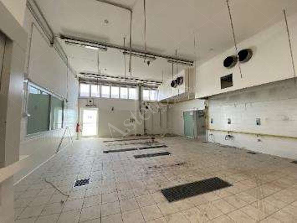 Capannone - laboratorio indipendente con uffici e ampio piazzale in Spinea 