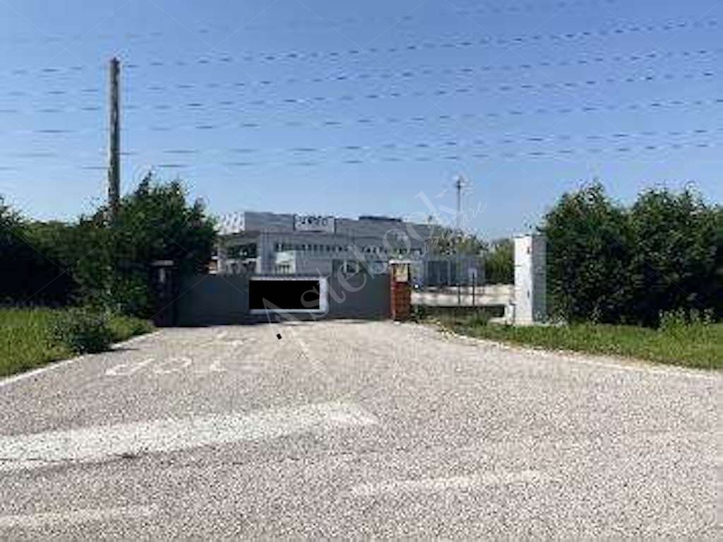 Capannone - laboratorio indipendente con uffici e ampio piazzale in Spinea 