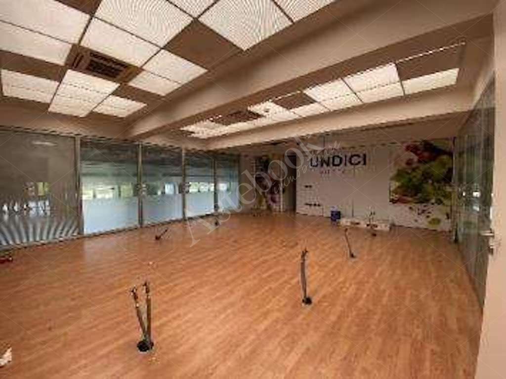 Capannone - laboratorio indipendente con uffici e ampio piazzale in Spinea 