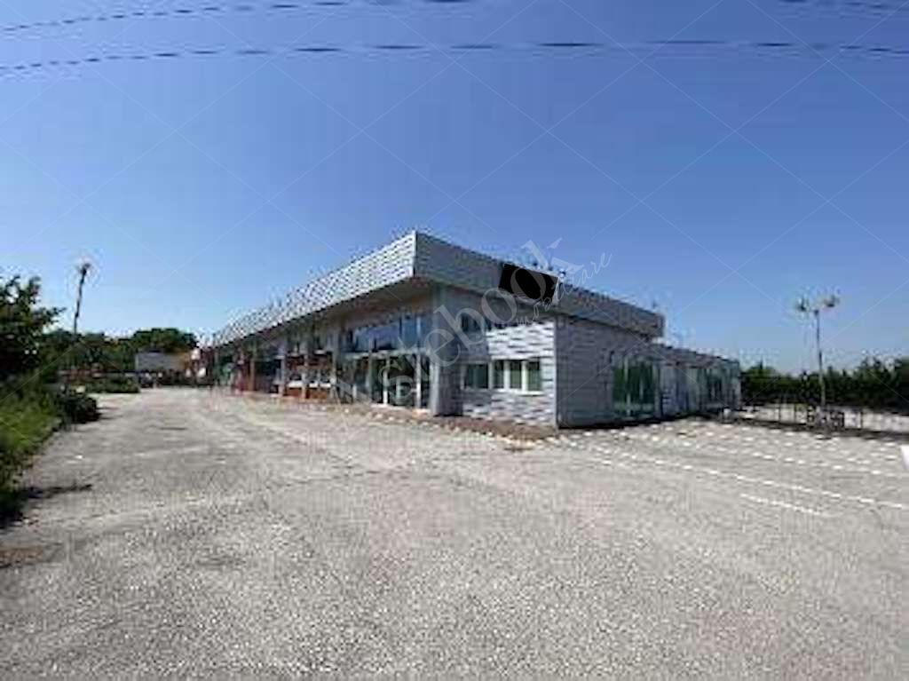Capannone - laboratorio indipendente con uffici e ampio piazzale in Spinea 