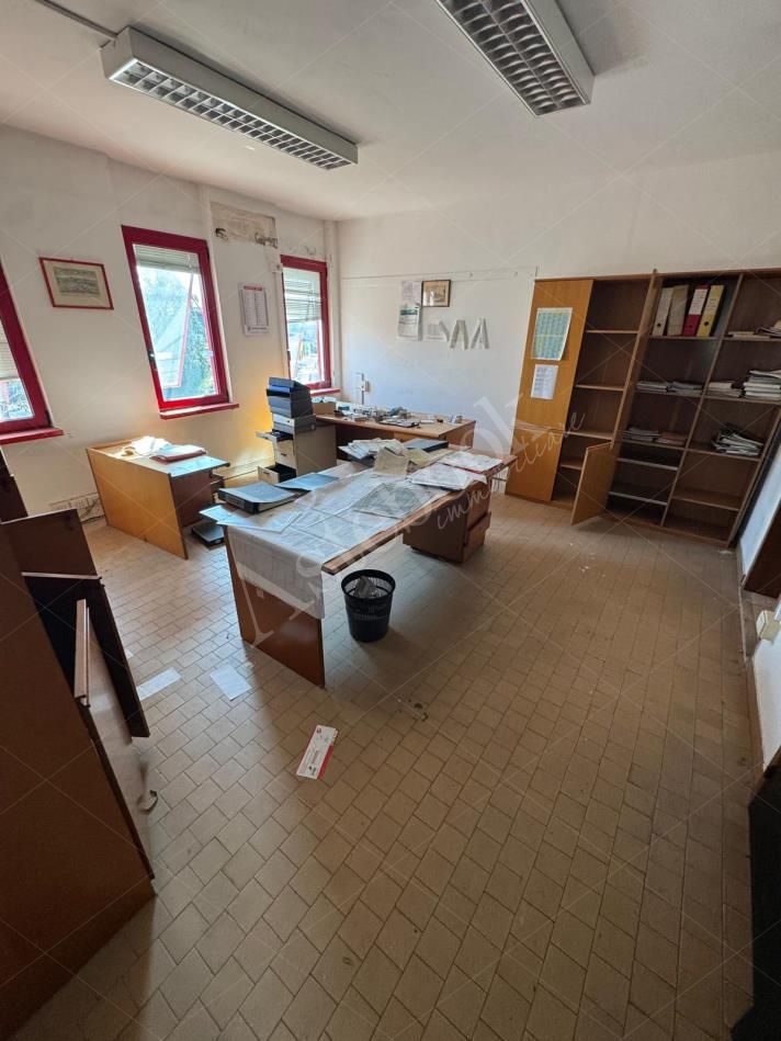 Capannone industriale con palazzina uffici e area pertinenziale in Martellago
