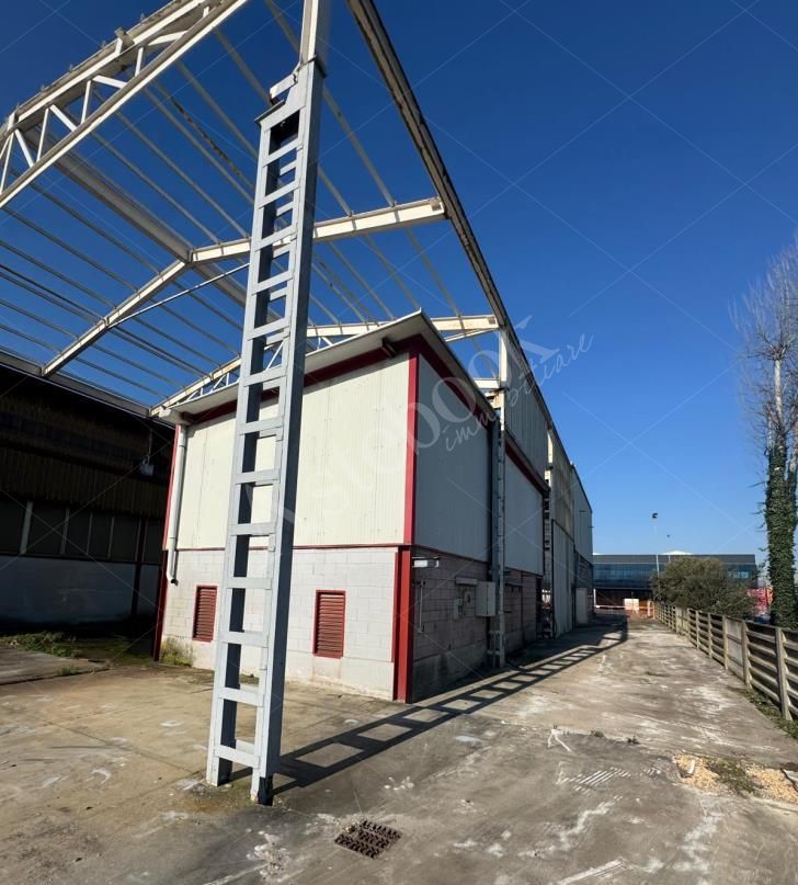 Capannone industriale con palazzina uffici e area pertinenziale in Martellago