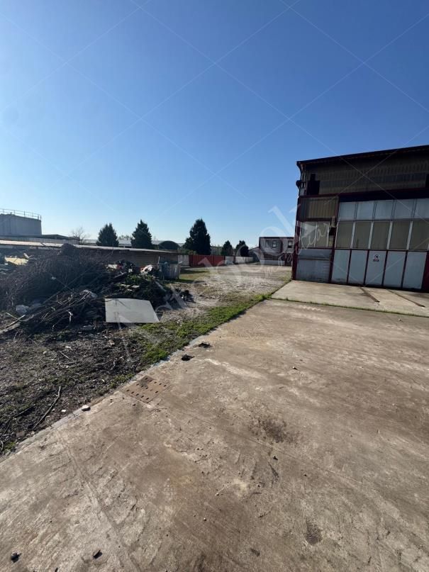 Capannone industriale con palazzina uffici e area pertinenziale in Martellago
