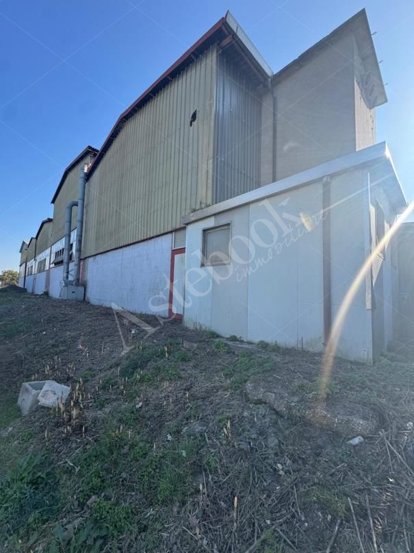 Capannone industriale con palazzina uffici e area pertinenziale in Martellago