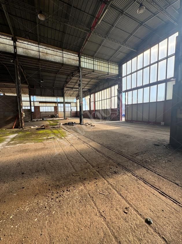 Capannone industriale con palazzina uffici e area pertinenziale in Martellago