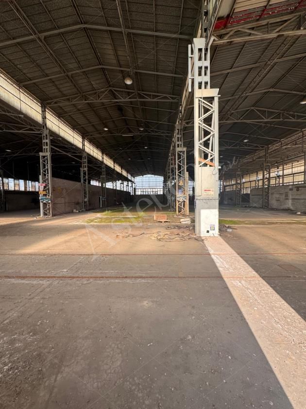 Capannone industriale con palazzina uffici e area pertinenziale in Martellago