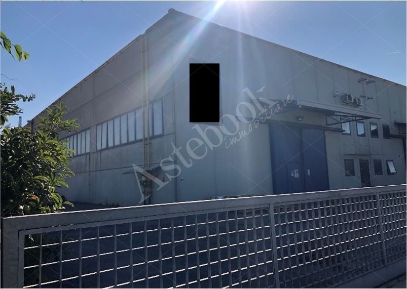Capannone artigianale con area pertinenziale in San Biagio di Callalta