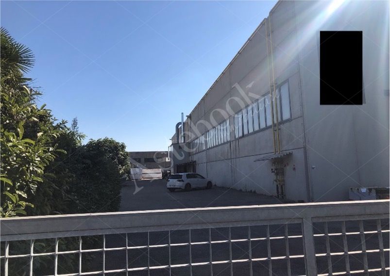 Capannone artigianale con area pertinenziale in San Biagio di Callalta