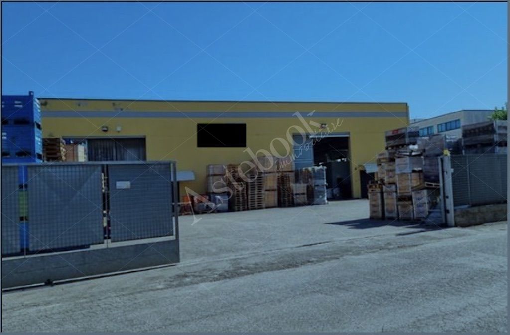 Capannone con uffici e area pertinenziale in Gradara