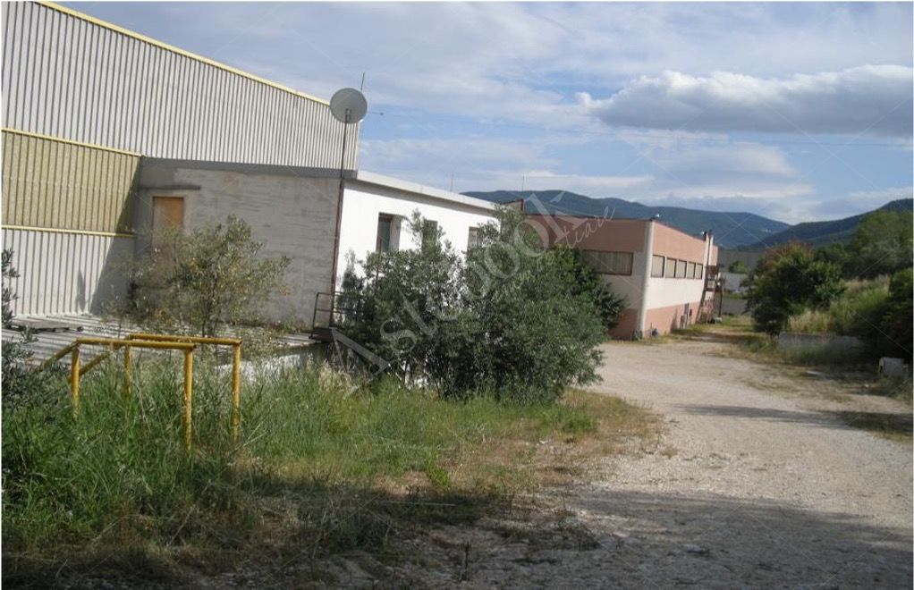 Complesso industriale costituito da due capannoni adiacenti  con area pertinenziale in Dogliola