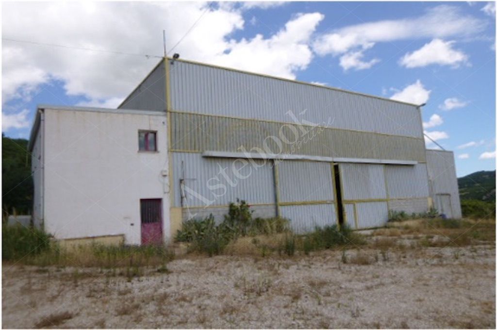 Complesso industriale costituito da due capannoni adiacenti  con area pertinenziale in Dogliola