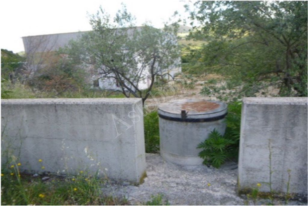 Complesso industriale costituito da due capannoni adiacenti  con area pertinenziale in Dogliola