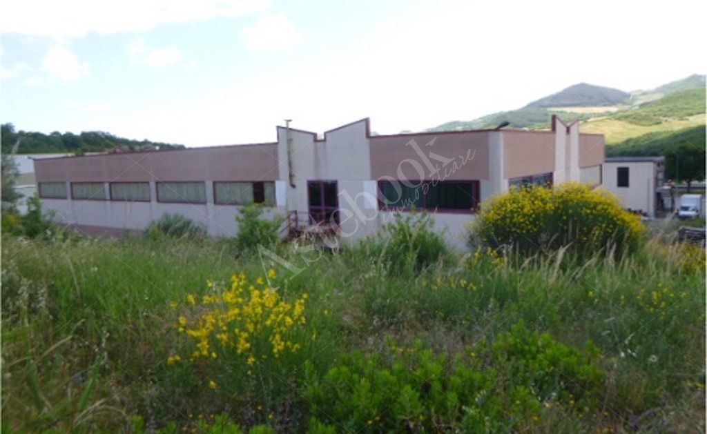 Complesso industriale costituito da due capannoni adiacenti  con area pertinenziale in Dogliola