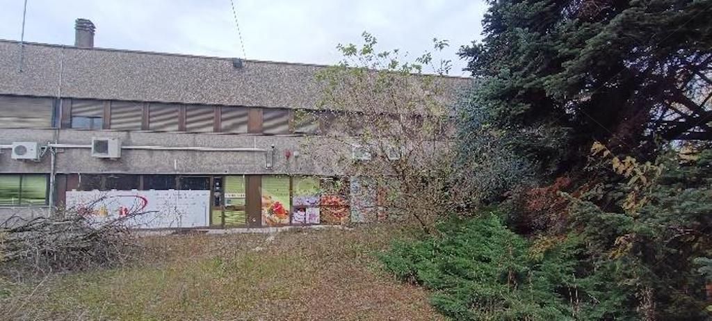 Capannone produttivo con uffici e area pertinenziale in Cassano Magnago