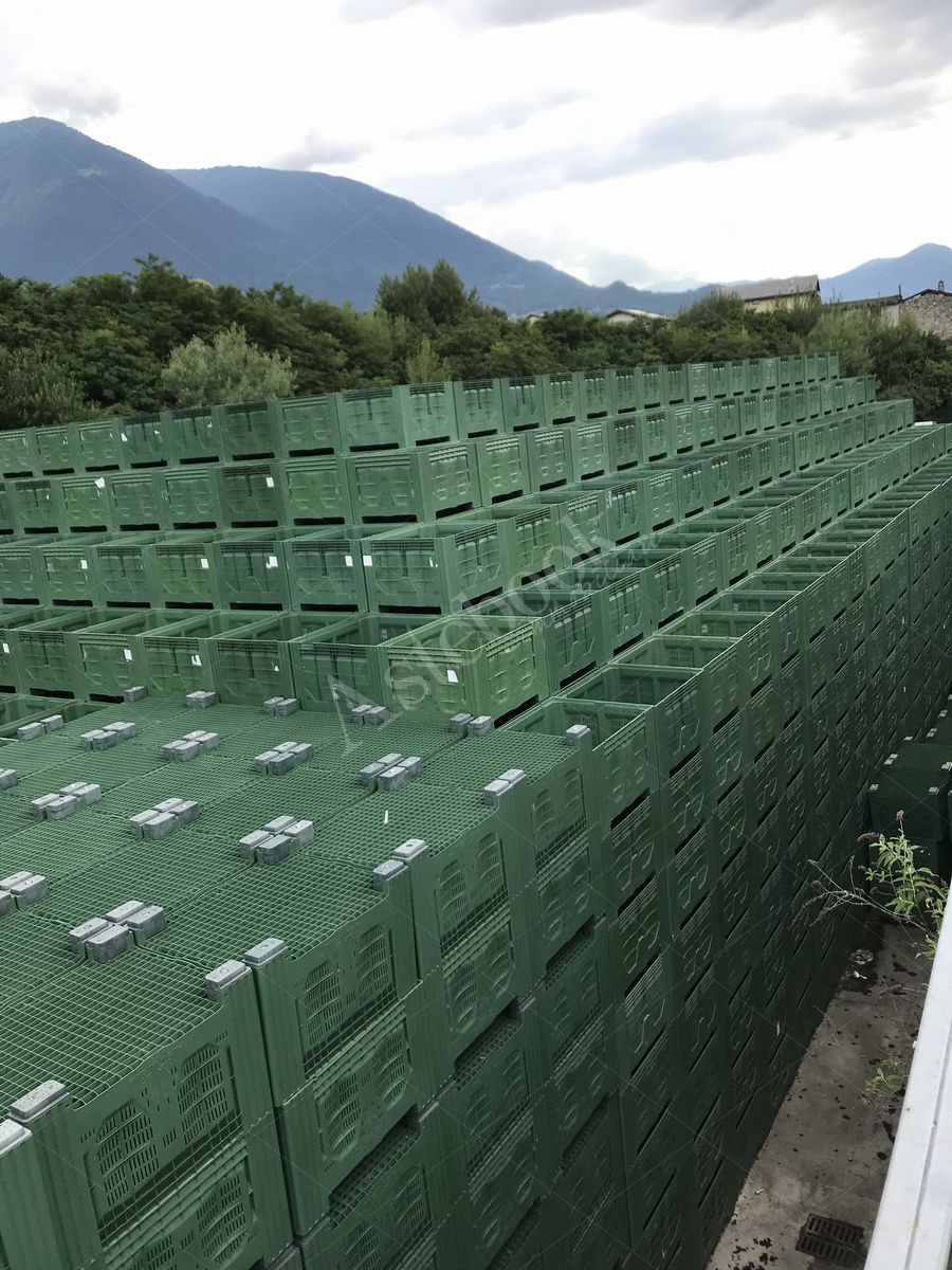 Lotto 3.1 - Bins misura 120x100x80