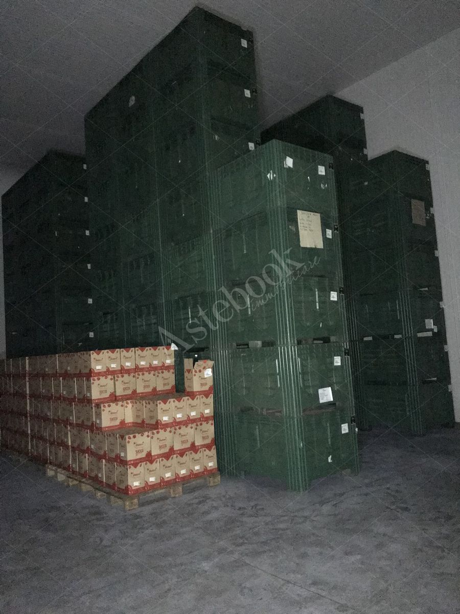 Lotto 3.1 - Bins misura 120x100x80
