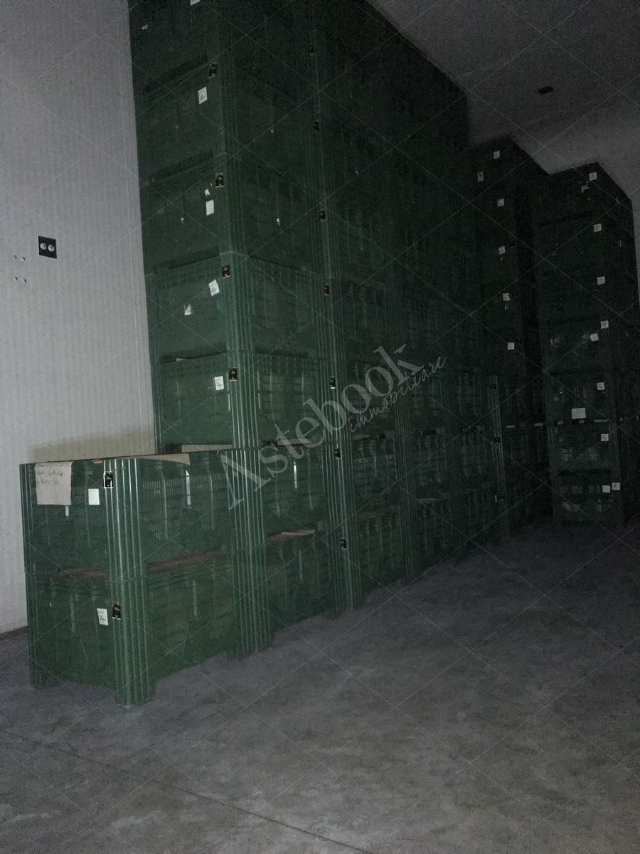 Lotto 3.1 - Bins misura 120x100x80