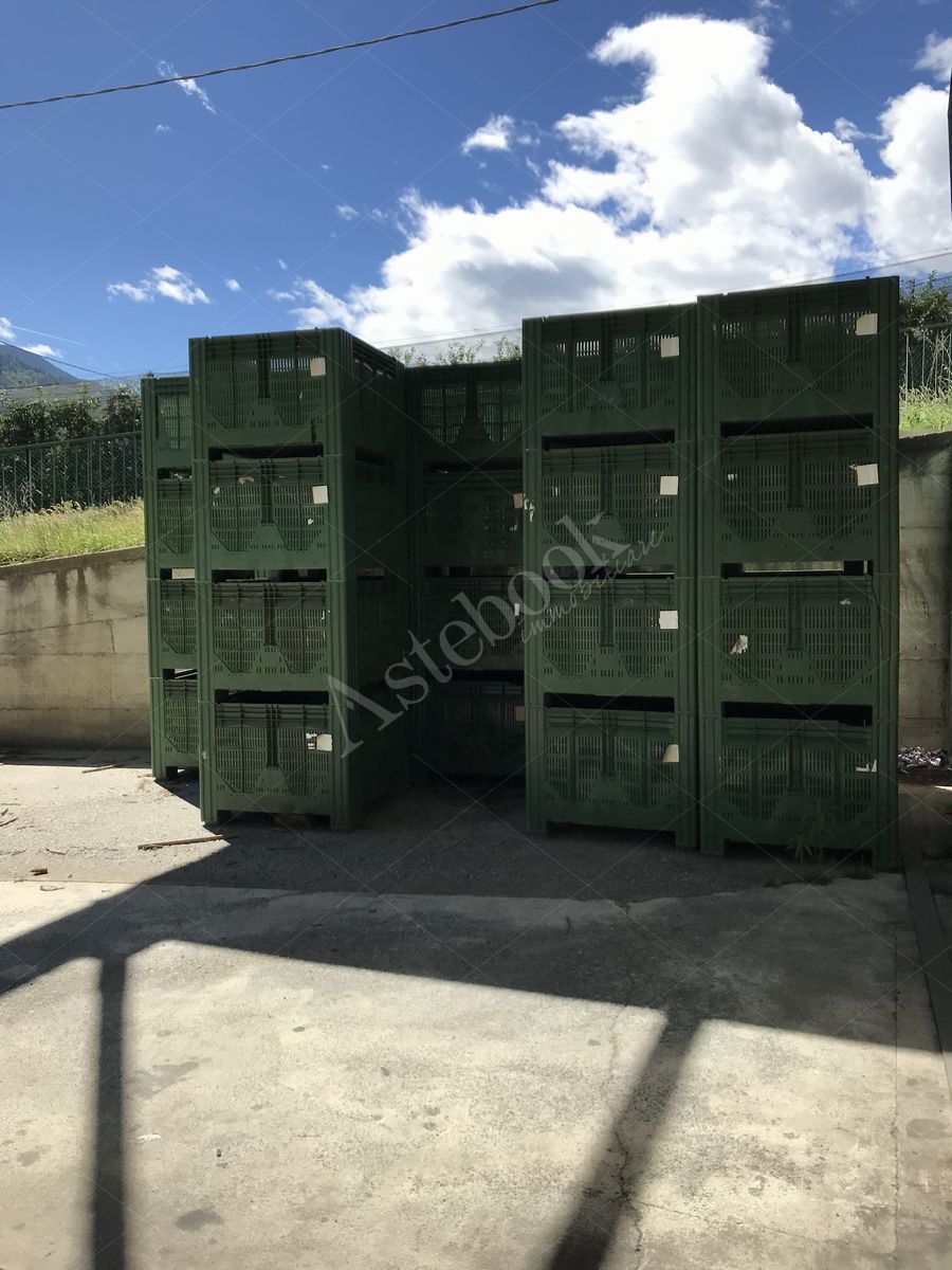 Lotto 3.1 - Bins misura 120x100x80