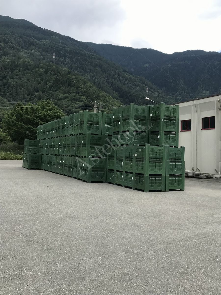 Lotto 3.1 - Bins misura 120x100x80