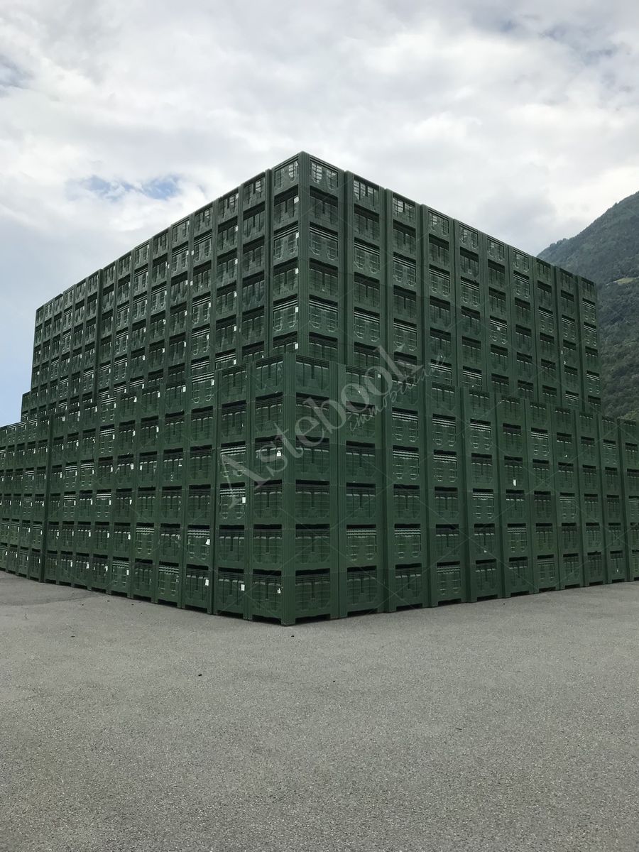 Lotto 3.1 - Bins misura 120x100x80
