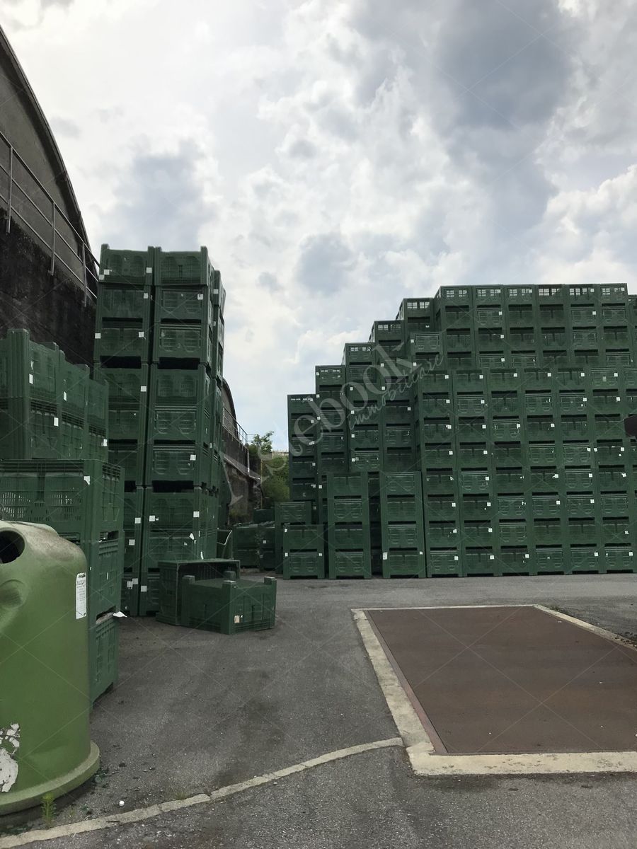 Lotto 3.1 - Bins misura 120x100x80