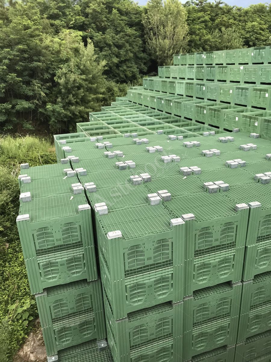 Lotto 3.1 - Bins misura 120x100x80