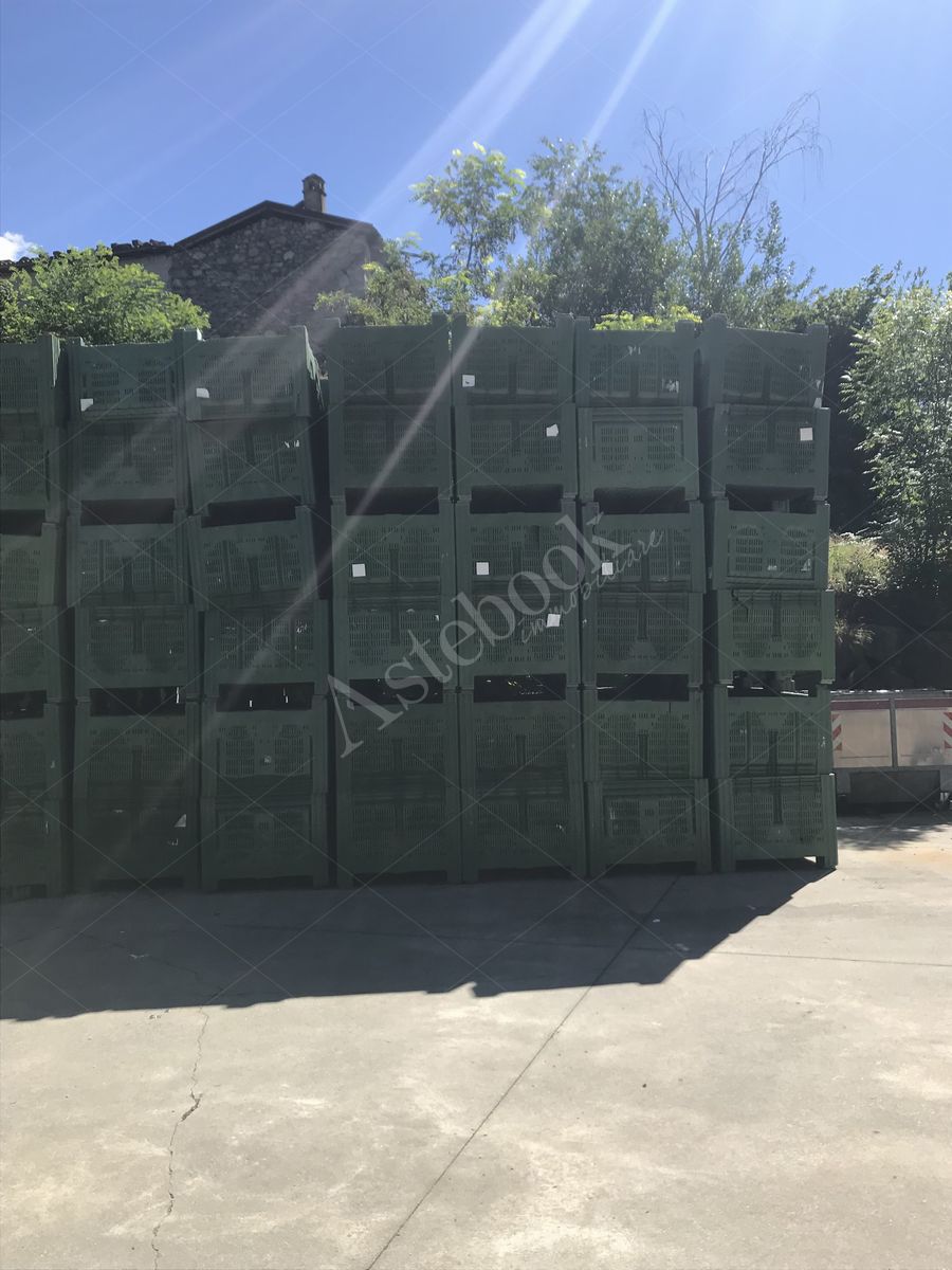 Lotto 3.1 - Bins misura 120x100x80
