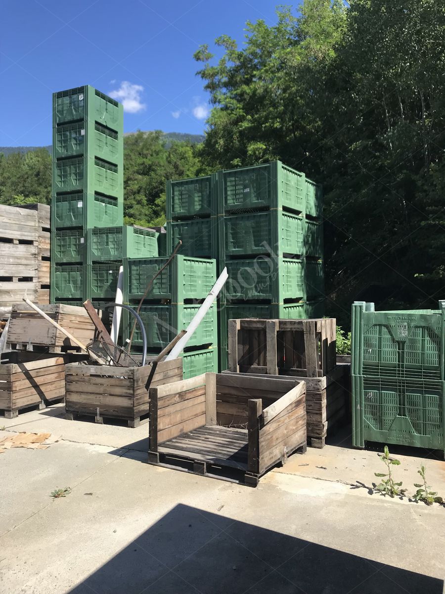 Lotto 3.1 - Bins misura 120x100x80