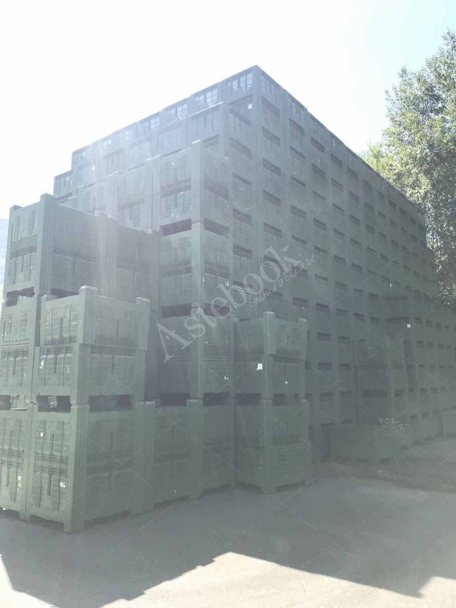 Lotto 3.2 - Bins di diverse dimensioni