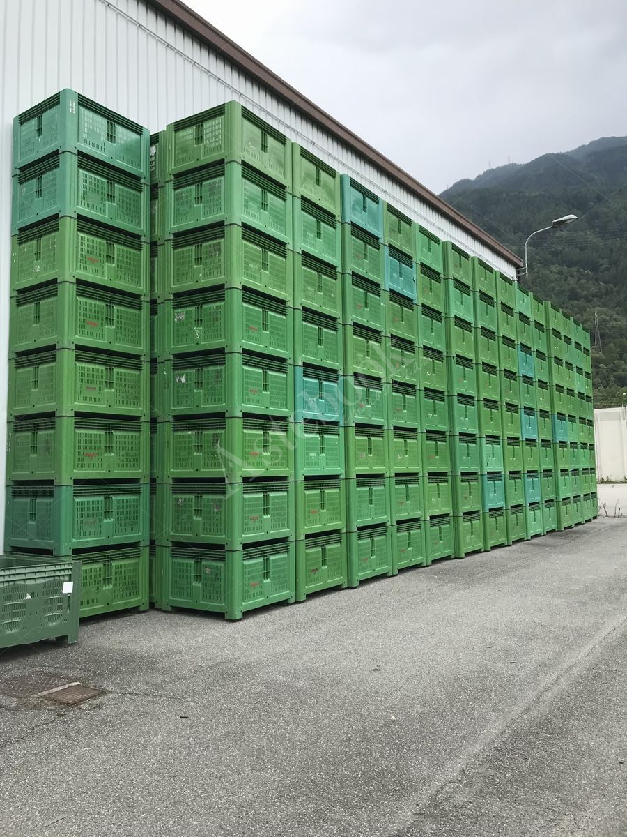 Lotto 3.2 - Bins di diverse dimensioni