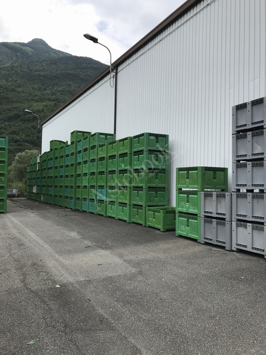 Lotto 3.2 - Bins di diverse dimensioni