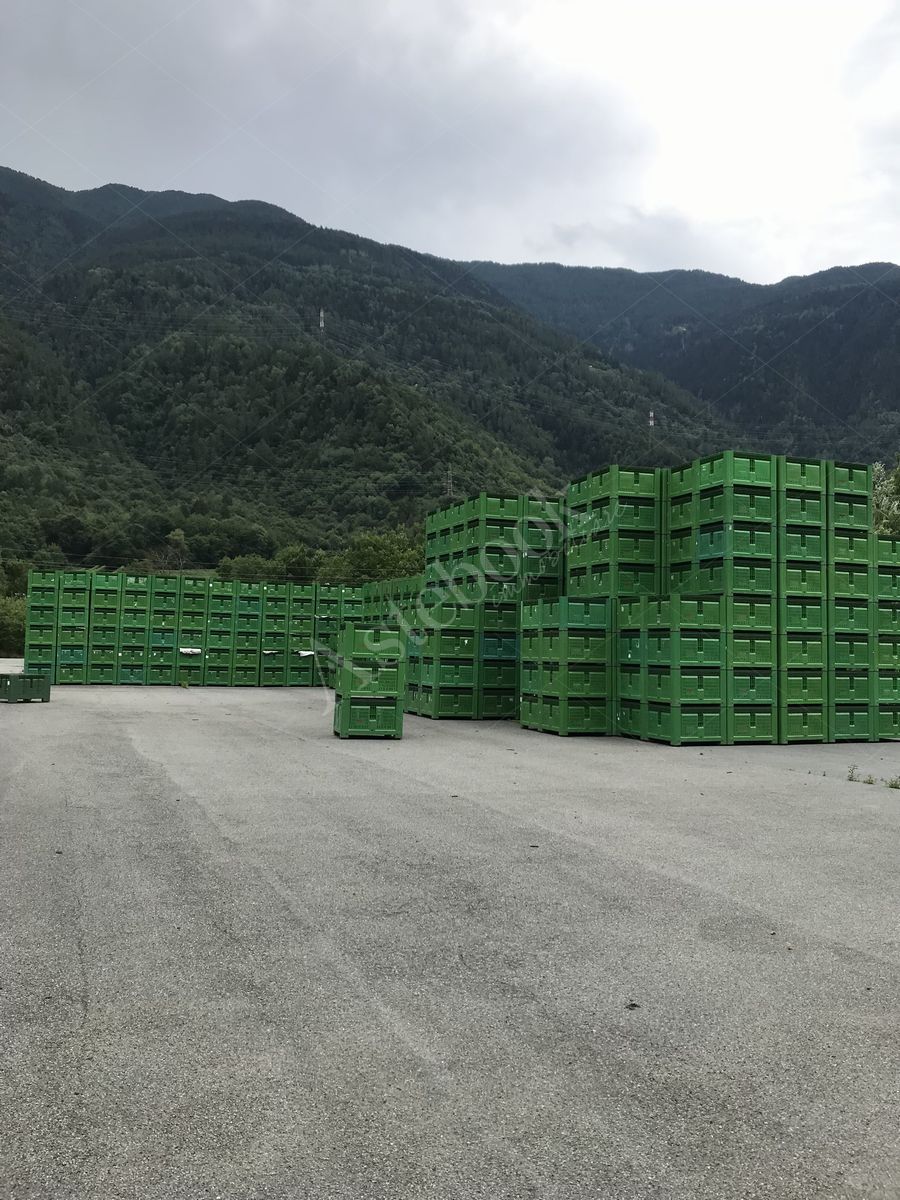 Lotto 3.2 - Bins di diverse dimensioni