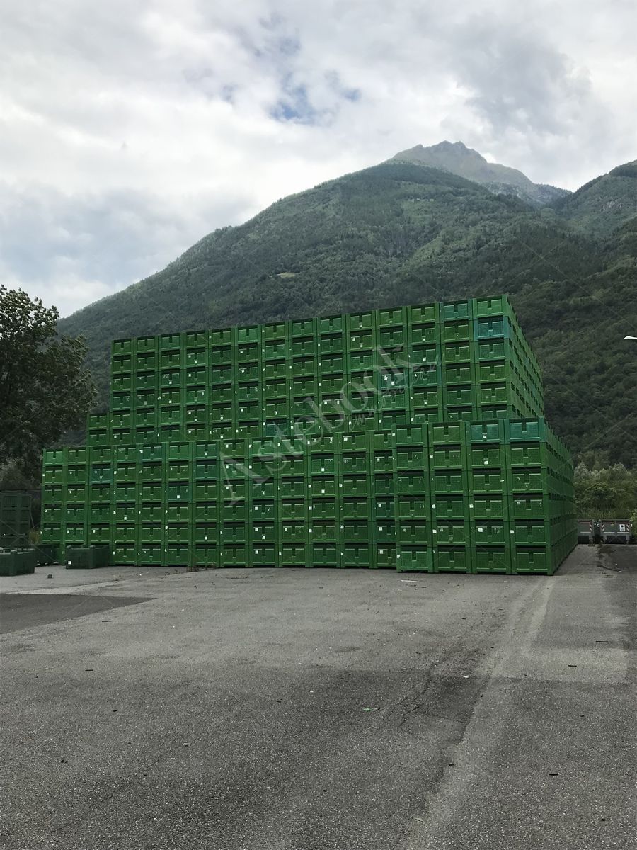 Lotto 3.2 - Bins di diverse dimensioni