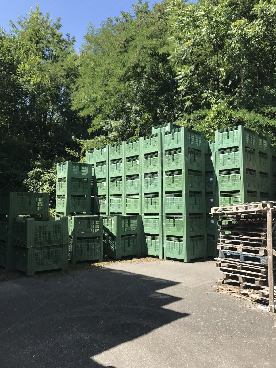 Lotto 3.2 - Bins di diverse dimensioni