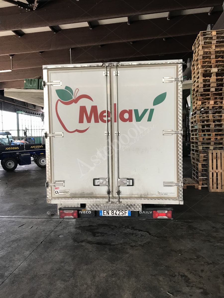 LOTTO 4.8 - Autocarro refrigerato diesel - Iveco 35S15 - EN 842 SF